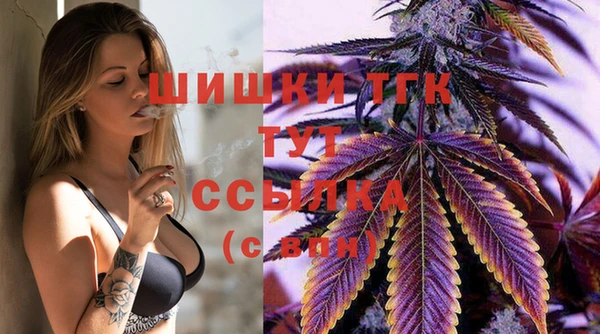 прущий лед Алзамай