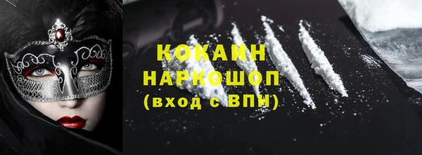 прущий лед Алзамай