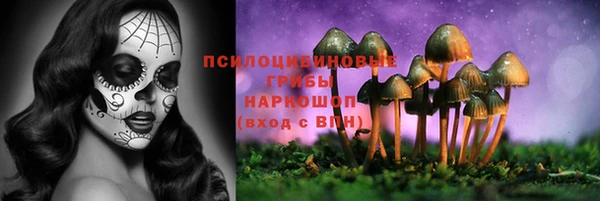 тгк Алексин