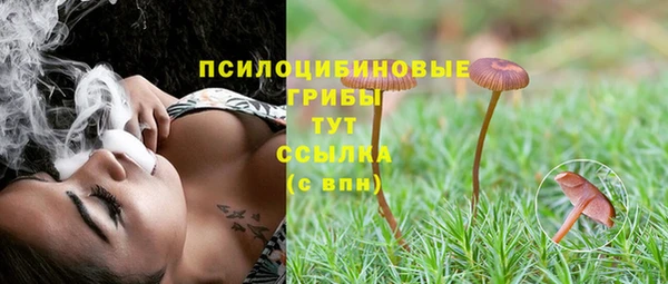 тгк Алексин