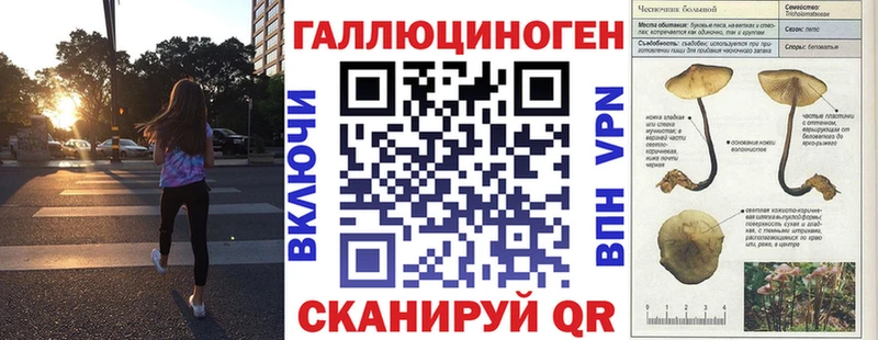 KRAKEN как зайти  Советская Гавань  Псилоцибиновые грибы Magic Shrooms 